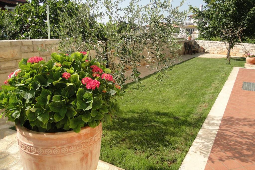 Apartments Villa Ela Umag Eksteriør billede